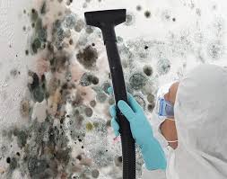 Professional Mold Removal Services in Fruitvale, CO